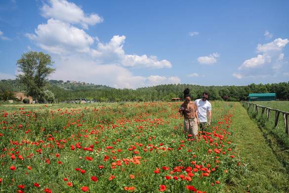 Celebrity Cruises, Shore Excursions 1, Copyrights - CEL.jpg